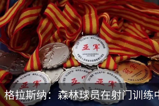 格拉斯纳：森林球员在射门训练中状态良好，球网几乎被射破